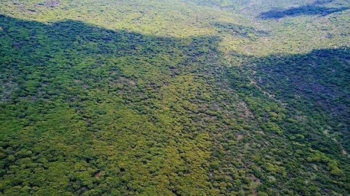 Peña Colorada, en etapas finales para ser considerada Área Natural Protegida