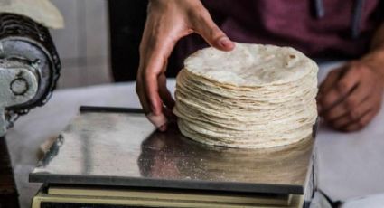 ¿Cuánto cuesta el kilogramo de la tortilla en Querétaro? Qué no te vean la cara