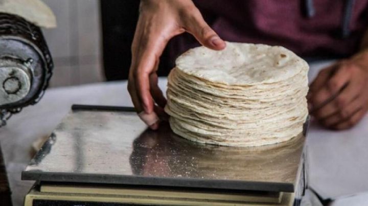 ¿Cuánto cuesta el kilogramo de la tortilla en Querétaro? Qué no te vean la cara