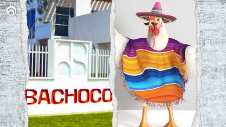 ¿Qué significa la palabra Bachoco?... y no, no es pollo ni huevo