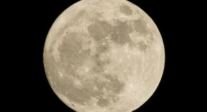 ¿Los humanos existiríamos sin la Luna?