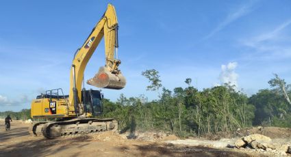 Oootro freno al Tren Maya: Conceden suspensión al Tramo 5 Norte por 'invadir' un terreno privado