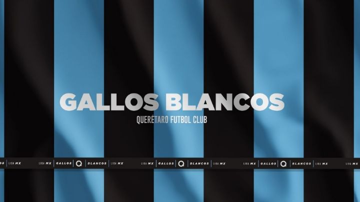 Fox Sports abre cartera para comprar al Club de Fútbol Gallos Blancos de Querétaro