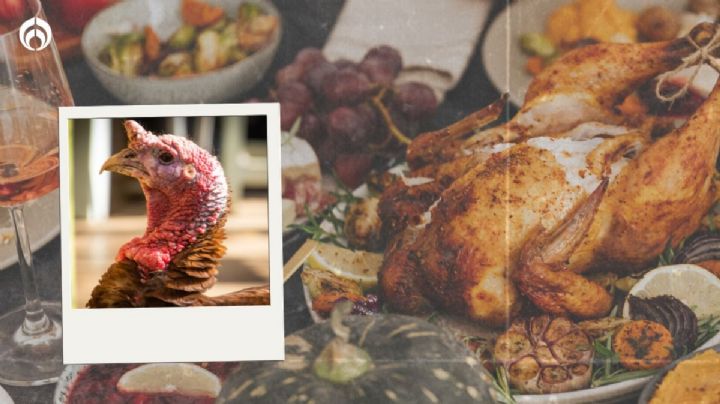 Acción de Gracias 2022: ¿Por qué el pavo es el plato principal del Thanksgiving?