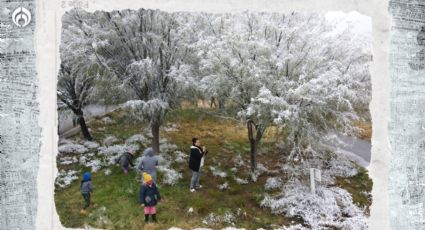 Clima para hoy jueves 1 de diciembre: ¡Agárrate! Frío pegará duro en estos estados