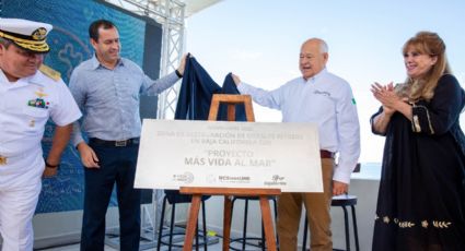 Proyecto 'Más vida al mar': Baja Ferries por el rescate de los arrecifes