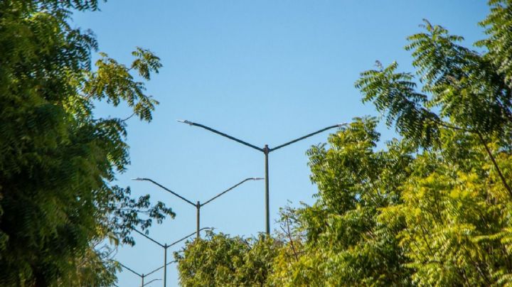 Programa de alumbrado con lámparas LED es una acción positiva para la ciudad: CERCA