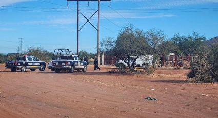 Suman once asesinatos en Guaymas en lo que va de noviembre