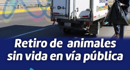 Brinda Municipio servicio de retiro de animales sin vida en la vía pública