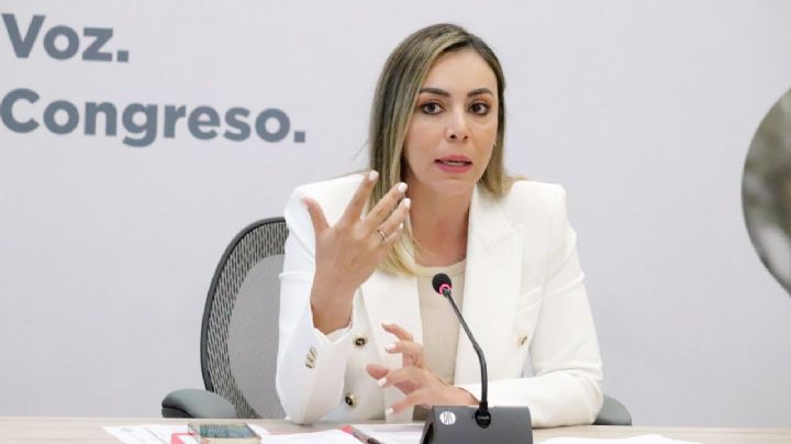 Castiga PRI Guanajuato a diputada Yulma Rocha: por votar en contra de permanencia del ejercito