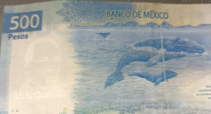 ¡Atención! Detectan billetes falsos en Altamira