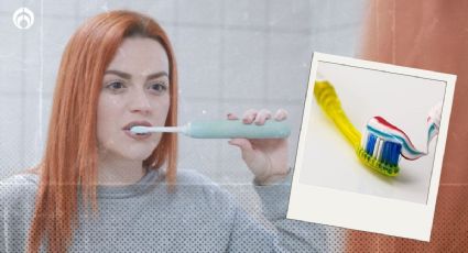 ¿Cuál es la mejor marca de cepillos de dientes?