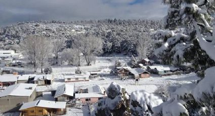 Reportan lleno turismo en zona serrana