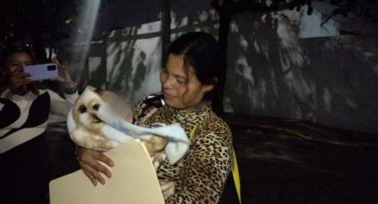 Milagro de diciembre, la pesadilla terminó: Brenda recibió a su bebé y esta navidad cumple 3 meses