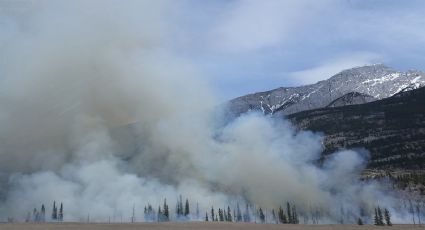 ¿Qué significa el color del humo en un incendio? Esto te podría salvar la vida