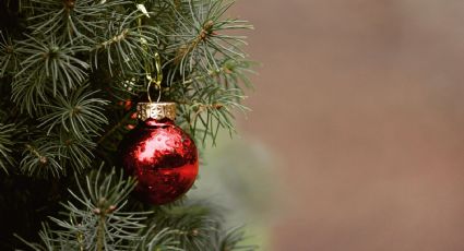 ¿Por qué ponemos y decoramos el árbol de Navidad? Descubre su fascinante origen