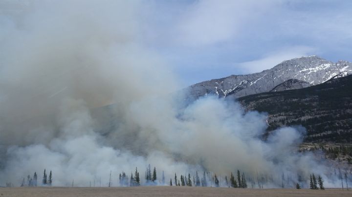 ¿Qué significa el color del humo en un incendio? Esto te podría salvar la vida