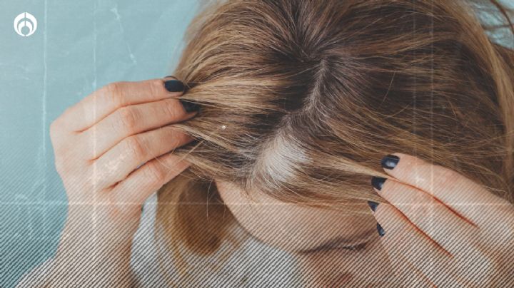 Tintes de cabello: estas son las marcas que cubren mejor la canas, según Profeco