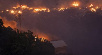 Gran incendio en Viña del Mar: confirma dos personas fallecidas