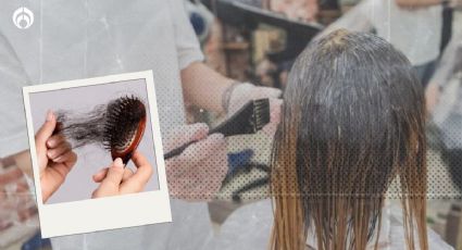 Tintes para el cabello: ¿me pueden dejar pelona?