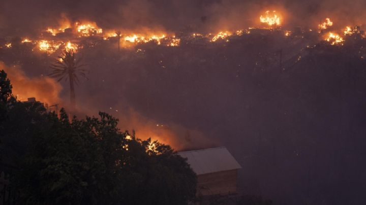 Gran incendio en Viña del Mar: confirma dos personas fallecidas