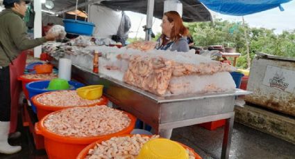 Reportan bajas ventas en mercado de mariscos en Tampico