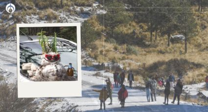 ¿Quieres hacer un muñeco de nieve? Precios y horarios para visitar el Nevado de Toluca y el Ajusco