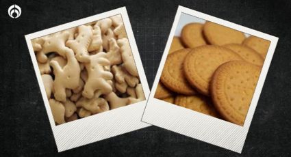 Galletas de animalitos vs. Galletas María: ¿cuáles son mejores para la dieta?