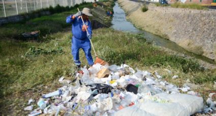 Combaten aparición de ratas y suciedad en el centro histórico de Querétaro