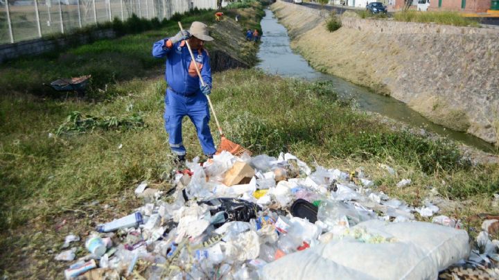 Combaten aparición de ratas y suciedad en el centro histórico de Querétaro