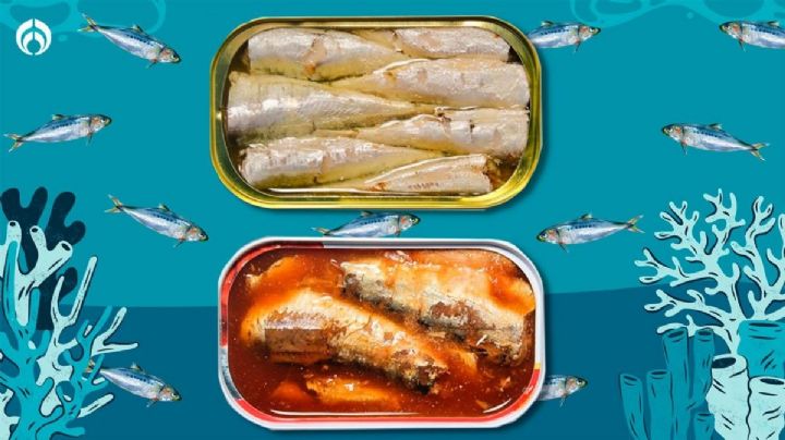 Estas son las sardinas más saludables