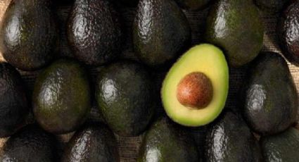 ¿Adiós guacamole? Precio de aguacate alcanza los 150 pesos en México