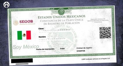 Cómo consultar tu CURP en internet, PASO a PASO