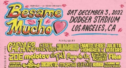 "Bésame mucho" festival: OV7, Los Ángeles Azules, Caifanes y Tigres del Norte juntos