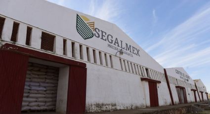 ¿Qué está pasando con Segalmex? Cinco claves para entender el caso