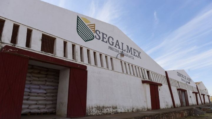 ¿Qué está pasando con Segalmex? Cinco claves para entender el caso