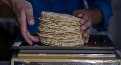 Conflicto Rusia-Ucrania: ¿Subirá precio de tortillas en México?