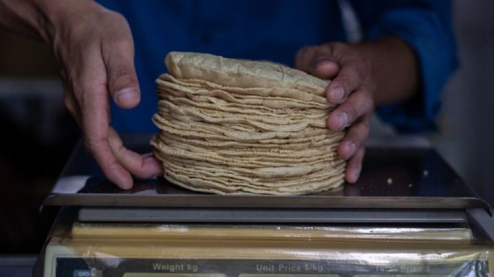 Conflicto Rusia-Ucrania: ¿Subirá precio de tortillas en México?