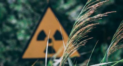 Chernobyl: Razones para no tener miedo a la radiactividad en el cuerpo