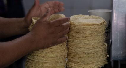 Rusia y Ucrania: ¿A 122 pesos el kilo de tortilla en México por conflicto? Esto dice Profeco