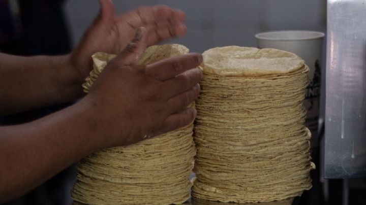 Rusia y Ucrania: ¿A 122 pesos el kilo de tortilla en México por conflicto? Esto dice Profeco