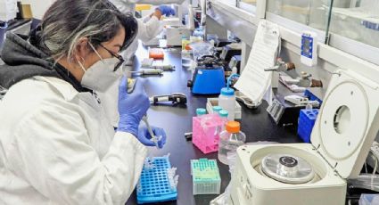 UNAM "lanza" nueva prueba COVID: científicos crean biosensor