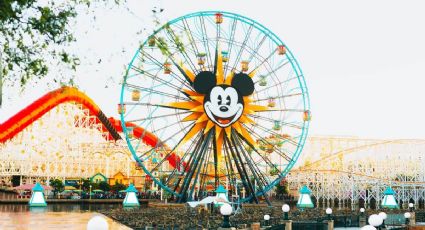 ¡Hay chamba! Disneyland busca salvavidas por 368 pesos la hora