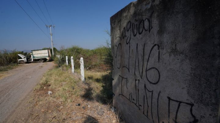 Terror en Michoacán: ¿Qué está pasando en Aguililla?