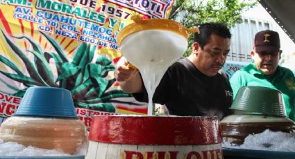 El pulque: la bebida de los dioses y que además beneficia tu salud