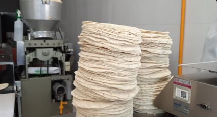 Tortillas: A AMLO le falta un 'eslabón' clave para controlar su precio, reclaman productores