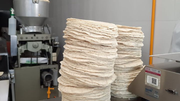 Tortillas: A AMLO le falta un 'eslabón' clave para controlar su precio, reclaman productores