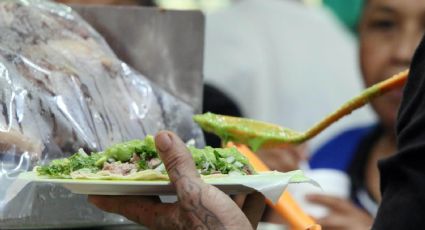 AIFA: ¿qué es el jabalí de Pachuca y cómo se come? 5 datos de la nueva "barbacoa"