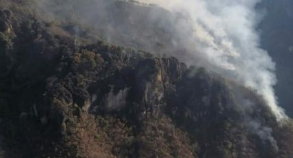 Incendio daña 74 hectáreas en Tepoztlán: control del fuego va en 20%