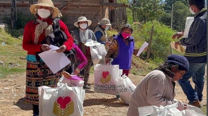 Tianguis del Bienestar: ¿qué es y cómo puedo participar?